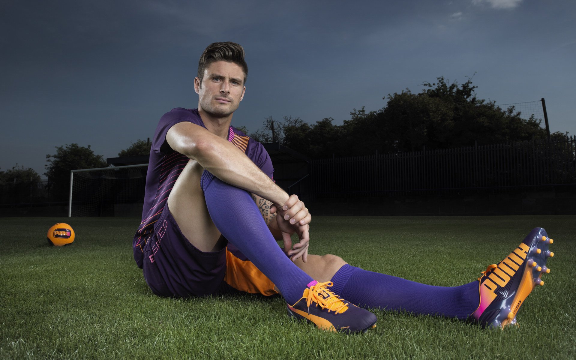 体育新闻中心推动智慧体育场馆数字内容升级,体育场馆数字化