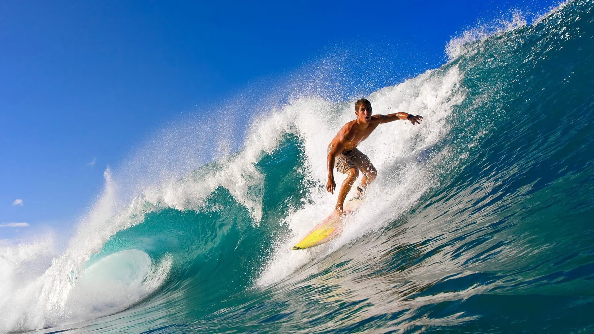 LPL战队默契配合如行云流水,lpl战队合同